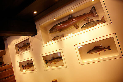 Gasthaus Pension Bayerischer Wald